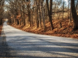 Обои дорога, деревья, осень, road, trees, autumn разрешение 3840x2160 Загрузить