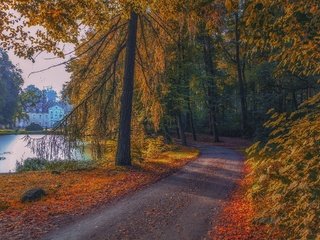 Обои дорога, деревья, озеро, лес, парк, осень, здание, road, trees, lake, forest, park, autumn, the building разрешение 5616x3744 Загрузить