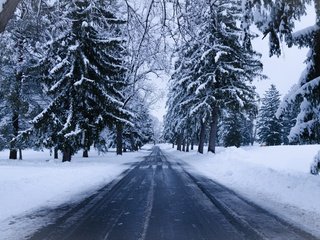 Обои дорога, деревья, снег, природа, зима, ель, road, trees, snow, nature, winter, spruce разрешение 4869x2739 Загрузить