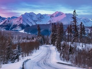 Обои дорога, деревья, горы, снег, лес, зима, road, trees, mountains, snow, forest, winter разрешение 2048x1365 Загрузить