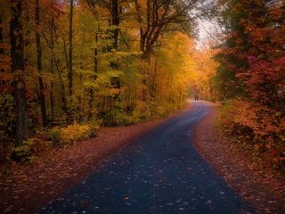 Обои дорога, осень, road, autumn разрешение 2048x1260 Загрузить