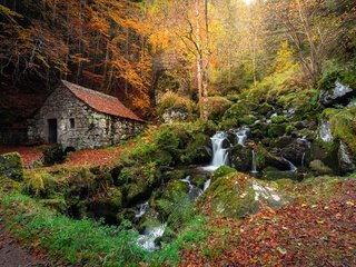 Обои лес, склон, водопад, осень, домик, forest, slope, waterfall, autumn, house разрешение 5910x3940 Загрузить