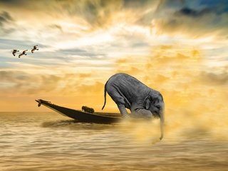 Обои море, слон, водоем, лодка, рендеринг, чайки, sea, elephant, pond, boat, rendering, seagulls разрешение 3840x2560 Загрузить