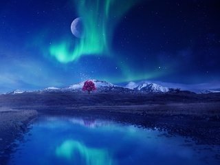 Обои небо, ночь, дерево, северное сияние, рендеринг, the sky, night, tree, northern lights, rendering разрешение 1920x1080 Загрузить