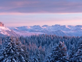 Обои небо, зима, облака, франция, деревья, горы, скалы, снег, природа, лес, the sky, winter, clouds, france, trees, mountains, rocks, snow, nature, forest разрешение 5120x2880 Загрузить