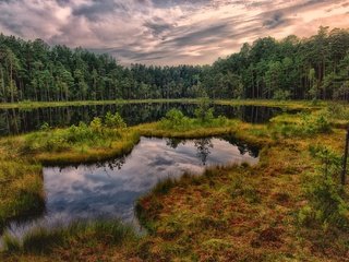 Обои небо, водоем, облака, островок, озеро, берег, лес, отражение, пейзаж, осень, the sky, pond, clouds, island, lake, shore, forest, reflection, landscape, autumn разрешение 2048x1364 Загрузить