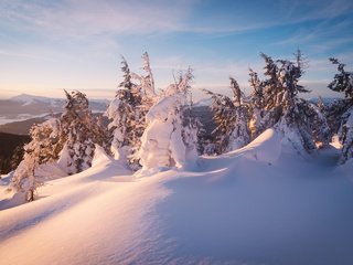 Обои небо, зима, свет, склон, облака, даль, деревья, ели, горы, елочки, снег, сугробы, природа, тени, лес, the sky, winter, light, slope, clouds, dal, trees, ate, mountains, christmas trees, snow, the snow, nature, shadows, forest разрешение 5000x3338 Загрузить