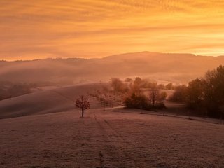 Обои туман, осень, fog, autumn разрешение 2048x1280 Загрузить