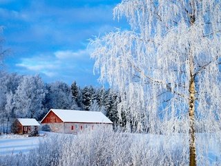 Обои снег, зима, зимний лес, snow, winter, winter forest разрешение 3056x1931 Загрузить