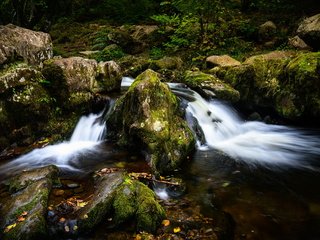 Обои вода, река, камни, ручей, мох, water, river, stones, stream, moss разрешение 3840x2559 Загрузить