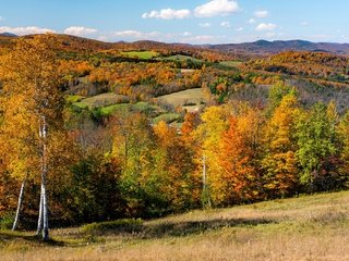 Обои деревья, солнце, холмы, поля, осень, сша, леса, вермонт, trees, the sun, hills, field, autumn, usa, forest, vermont разрешение 2048x1351 Загрузить