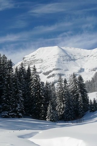 Обои горы, снег, лес, зима, mountains, snow, forest, winter разрешение 1920x1080 Загрузить