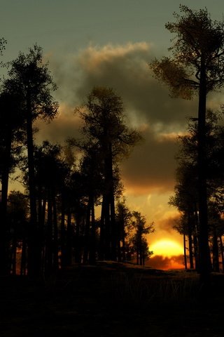 Обои деревья, вечер, лес, тучи, закат солнца, trees, the evening, forest, clouds, sunset разрешение 2560x1577 Загрузить