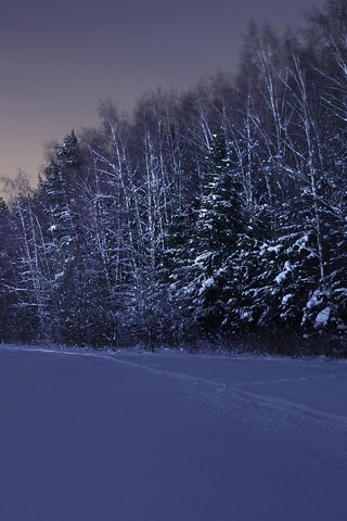 Обои ночь, снег, лес, зима, night, snow, forest, winter разрешение 1920x1280 Загрузить