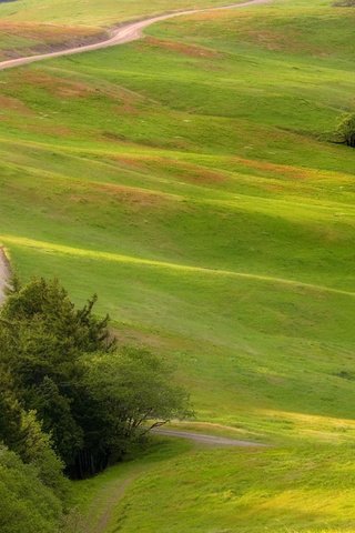 Обои дорога, кусты, луг, road, the bushes, meadow разрешение 1920x1080 Загрузить