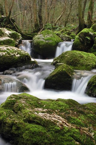 Обои вода, камни, ручей, water, stones, stream разрешение 2560x1600 Загрузить