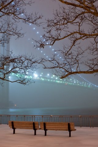 Обои деревья, огни, вечер, снег, парк, туман, мост, скамейки, trees, lights, the evening, snow, park, fog, bridge, benches разрешение 1920x1200 Загрузить