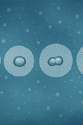 Обои клетки, деление, cells, division разрешение 1920x1200 Загрузить