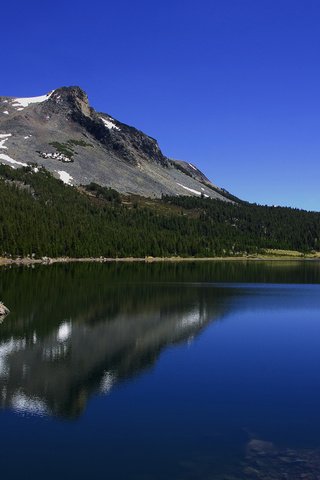 Обои небо, йосемити, облака, озеро тиога, tioga lake, деревья, озеро, горы, лес, лето, калифорния, the sky, yosemite, clouds, trees, lake, mountains, forest, summer, ca разрешение 1920x1080 Загрузить