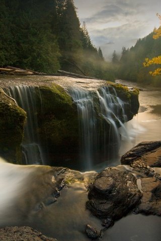 Обои деревья, река, камни, пейзаж, поток воды, trees, river, stones, landscape, the flow of water разрешение 1920x1200 Загрузить