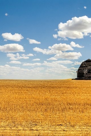 Обои облака, поле, лето, сарай, clouds, field, summer, the barn разрешение 2560x1600 Загрузить