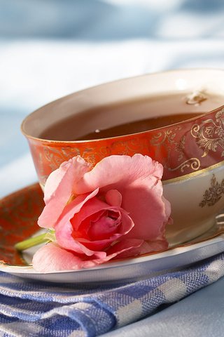 Обои цветок, роза, чашка, чай, салфетка, чаепитие, flower, rose, cup, tea, napkin, the tea party разрешение 1920x1200 Загрузить