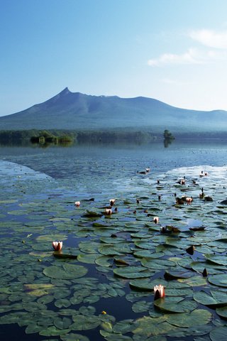 Обои озеро, горы, тишина, лилии, lake, mountains, silence, lily разрешение 1920x1200 Загрузить