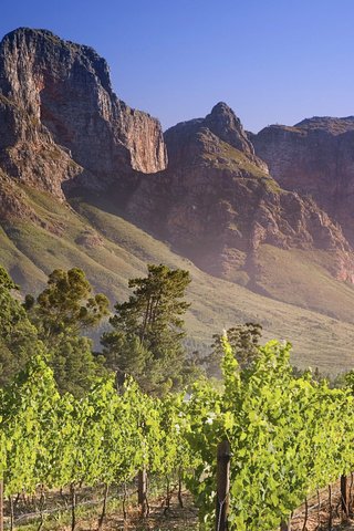 Обои горы, зелень, африка, mountains, greens, africa разрешение 1920x1200 Загрузить