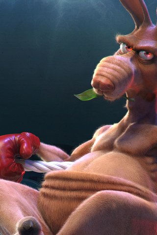 Обои кенгуру, бокс, ринг, kangaroo, boxing, the ring разрешение 1920x1200 Загрузить