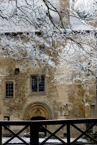 Обои деревья, снег, зима, ветви, забор, дом, trees, snow, winter, branch, the fence, house разрешение 2560x1600 Загрузить