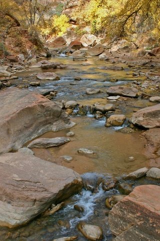 Обои деревья, вода, река, камни, поток, trees, water, river, stones, stream разрешение 1920x1200 Загрузить