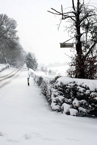 Обои дорога, снег, зима, road, snow, winter разрешение 2560x1600 Загрузить