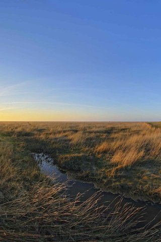 Обои трава, утро, ручей, маяк, германия, маяк вестерхеверсанд, grass, morning, stream, lighthouse, germany разрешение 3200x1200 Загрузить