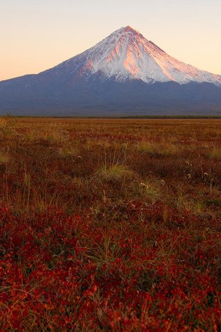 Обои закат, камчатка, вулкан, кроноцкая сопка, sunset, kamchatka, the volcano разрешение 1920x1080 Загрузить
