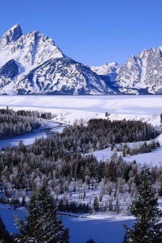 Обои деревья, река, горы, снег, зима, леса, дельта, trees, river, mountains, snow, winter, forest, delta разрешение 2277x1200 Загрузить