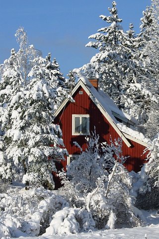 Обои деревья, зима, дом, trees, winter, house разрешение 1920x1200 Загрузить