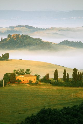 Обои поля, туман, италия, field, fog, italy разрешение 1920x1200 Загрузить