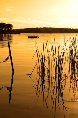 Обои озеро, лес, закат, лодка, сепия, lake, forest, sunset, boat, sepia разрешение 1920x1440 Загрузить