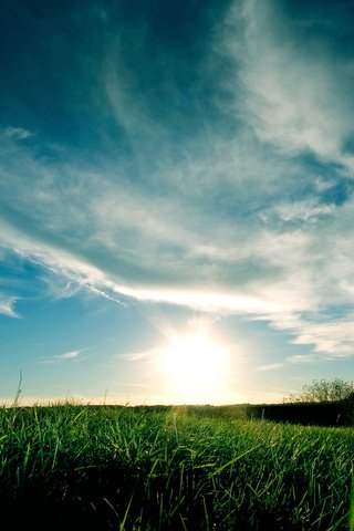 Обои небо, трава, облака, закат, синий, зеленая, the sky, grass, clouds, sunset, blue, green разрешение 2560x1600 Загрузить