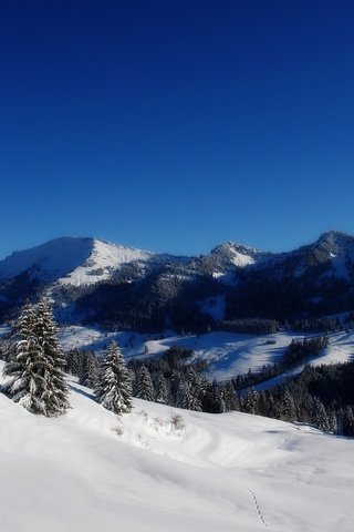 Обои деревья, горы, снег, зима, trees, mountains, snow, winter разрешение 2560x1600 Загрузить