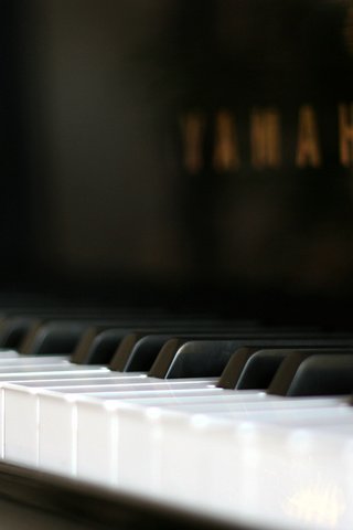 Обои обои, макро, пианино, wallpaper, macro, piano разрешение 1920x1200 Загрузить