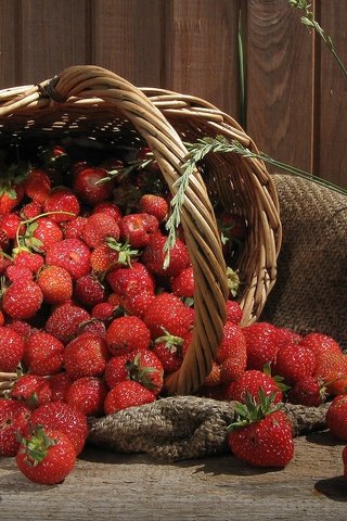 Обои клубника, ягоды, корзинка, мешковина, strawberry, berries, basket, burlap разрешение 1920x1200 Загрузить