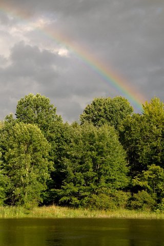 Обои деревья, вода, река, зелень, лес, радуга, trees, water, river, greens, forest, rainbow разрешение 1920x1200 Загрузить