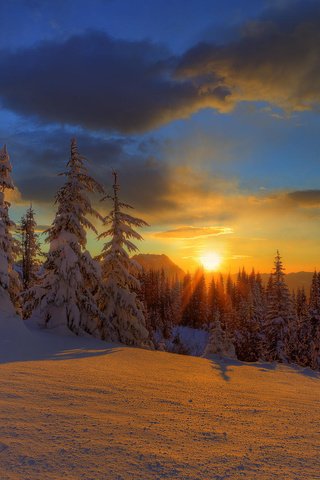 Обои небо, елки, облака, снег, природа, лес, закат, зима, красота, the sky, tree, clouds, snow, nature, forest, sunset, winter, beauty разрешение 1920x1080 Загрузить