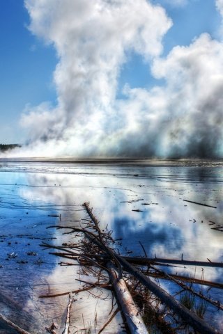 Обои лес, пар, йеллоустон, forest, couples, yellowstone разрешение 2560x1600 Загрузить