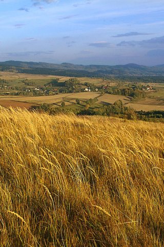 Обои небо, облака, холмы, природа, пейзаж, поле, колосья, польша, the sky, clouds, hills, nature, landscape, field, ears, poland разрешение 1920x1200 Загрузить