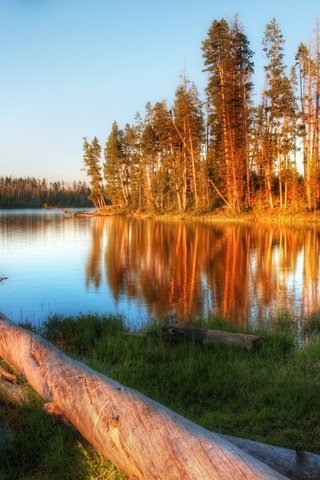 Обои река, дерево, обои, пейзаж, river, tree, wallpaper, landscape разрешение 3000x2000 Загрузить