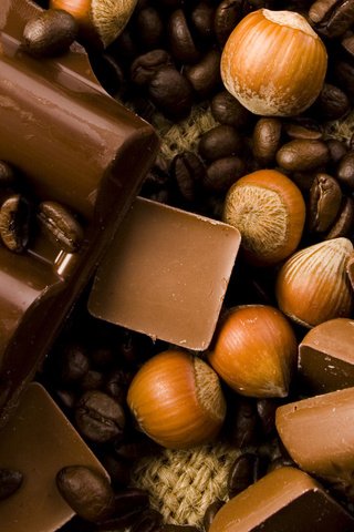 Обои шоколад, сладкое, кофейные зерна, лесной орех, в шоколаде, сладенько, chocolate, sweet, coffee beans, hazelnut разрешение 1920x1200 Загрузить