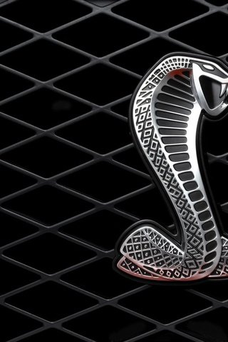 Обои металл, змея, решетка, metal, snake, grille разрешение 1920x1440 Загрузить