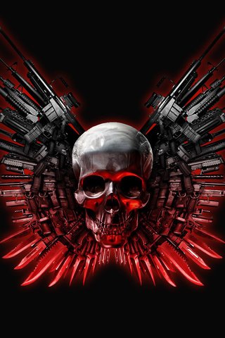 Обои оружие, череп, неудержимые, weapons, skull, the expendables разрешение 1920x1200 Загрузить